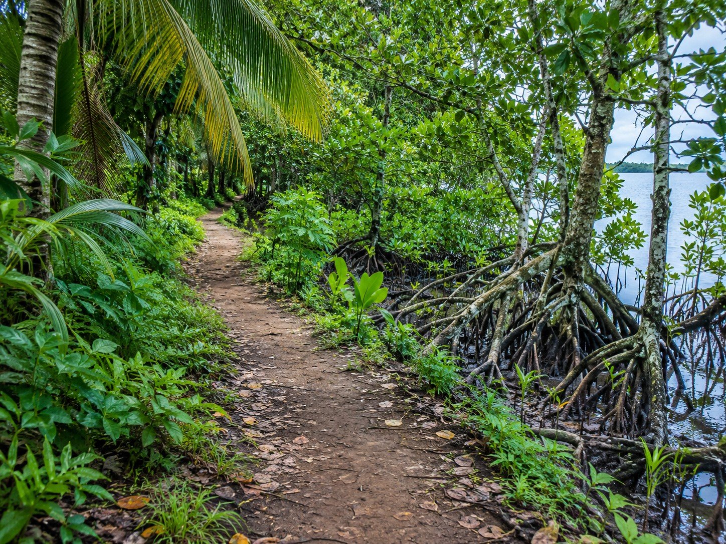 Sendero Santa Bárbara
